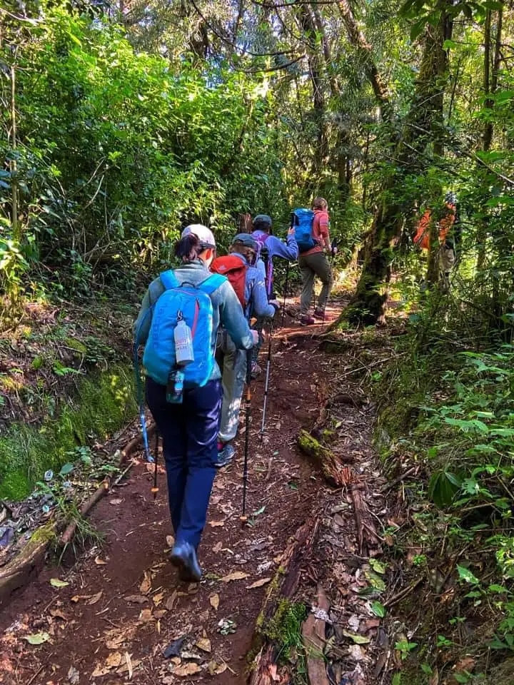 Hiking Backpack