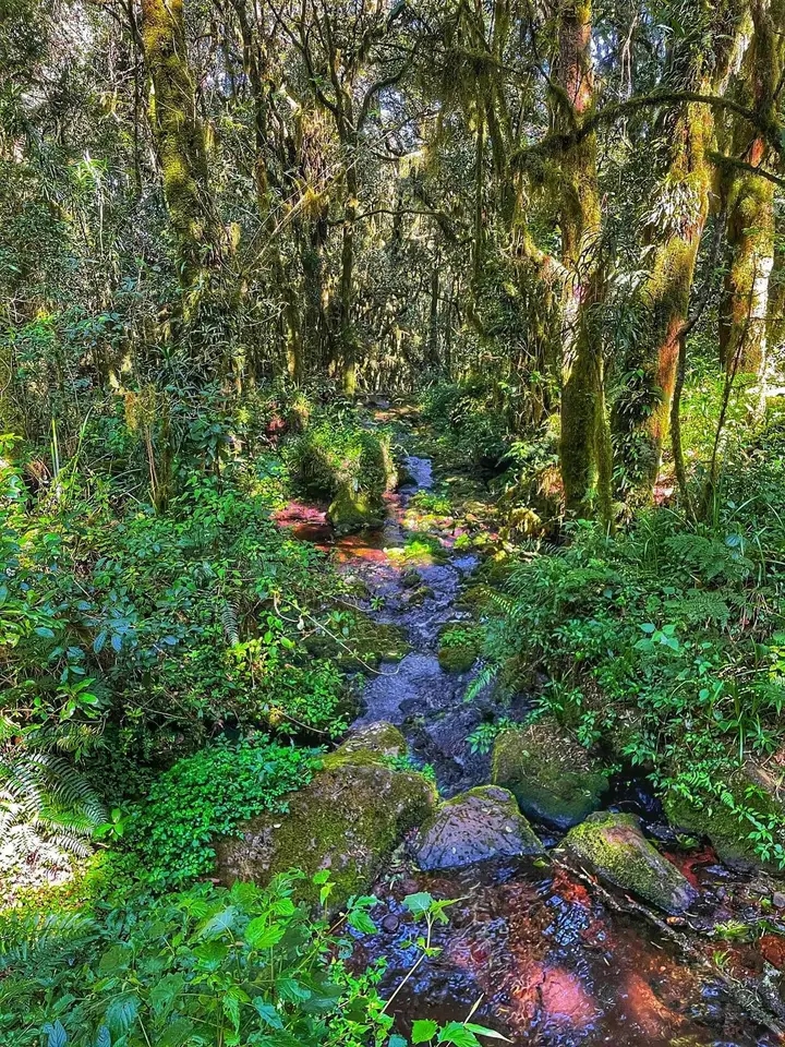 Backpack Camping Gear