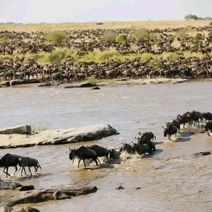 Tanzania Safari Map