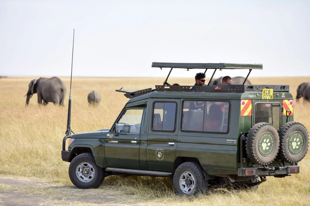 Kenya Safari Elephant Landscape