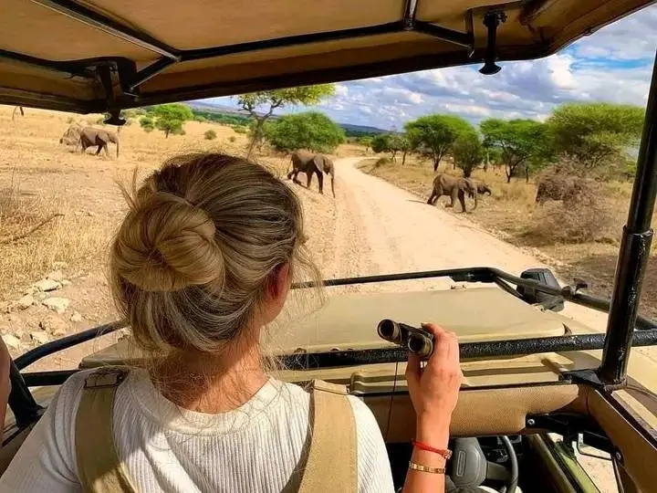 Rhino Safari