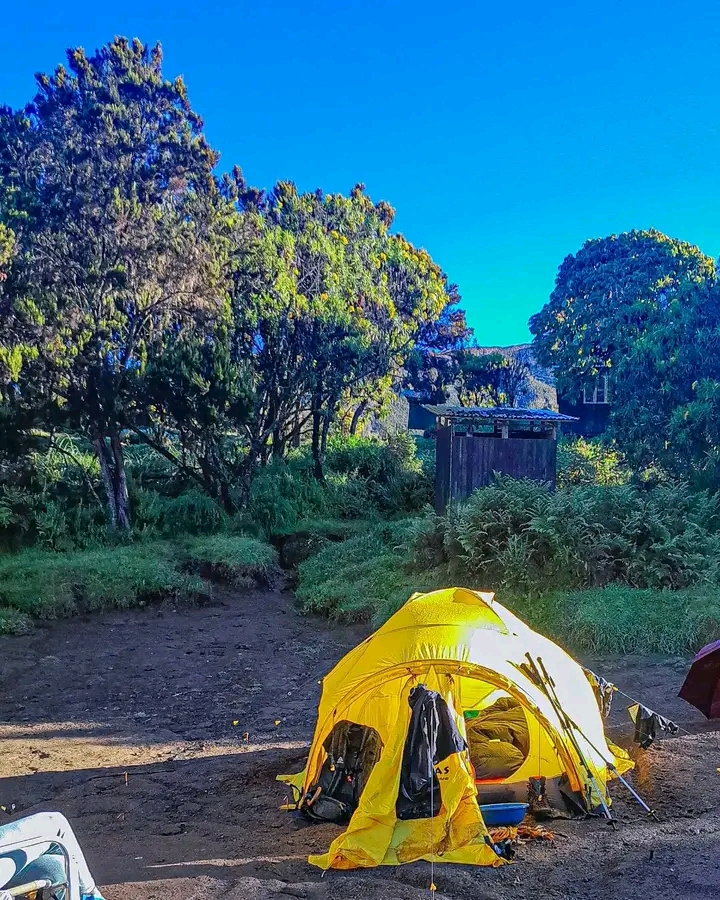 Kilimanjaro Trekking