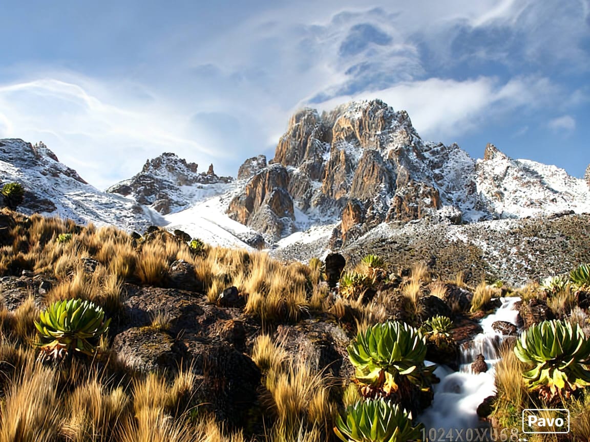 Mount Kenya Trekking