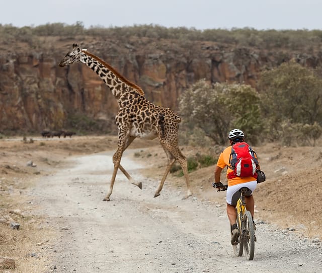 Cycling Tour