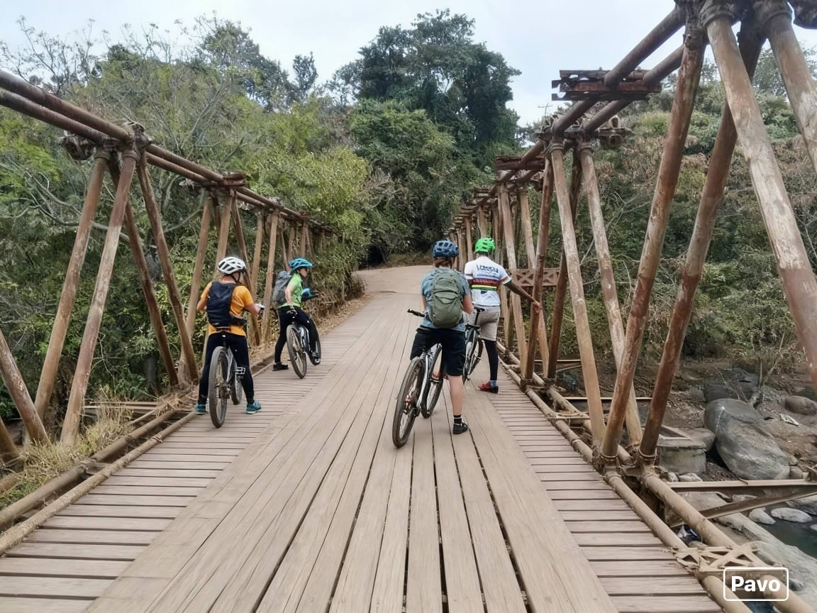 Cycling Tour